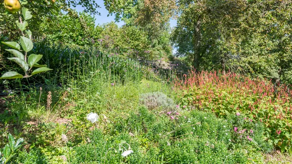1770285767-21) wilde tuin (9)